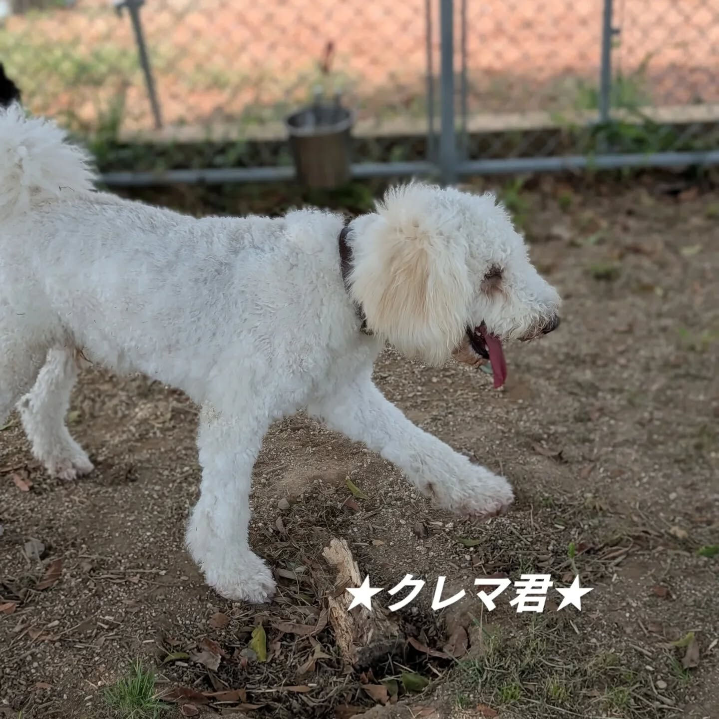 遊びに来てくれました🙌
