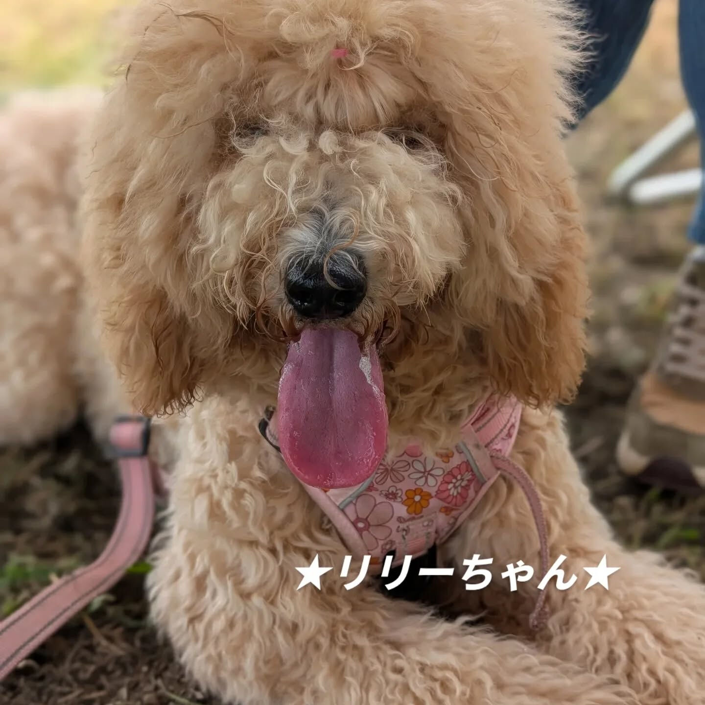 遊びに来てくれました🙌
