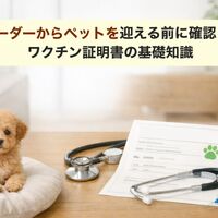 画像5085