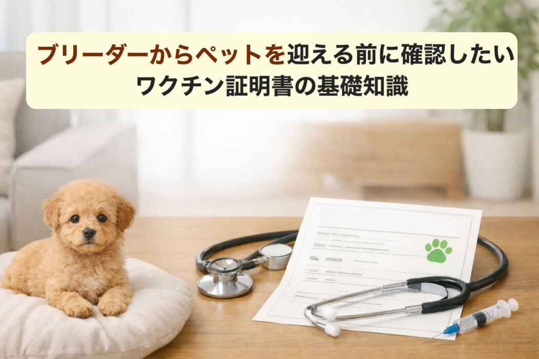 画像5085