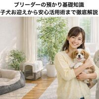 画像5101