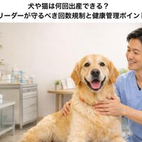 画像5143