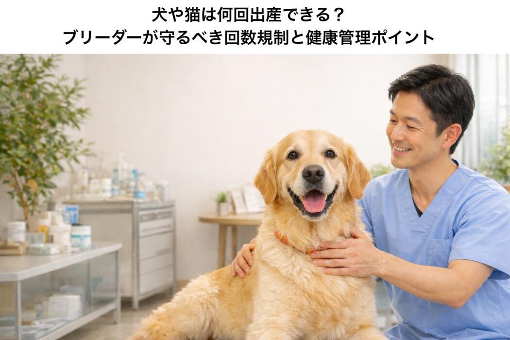 画像5143