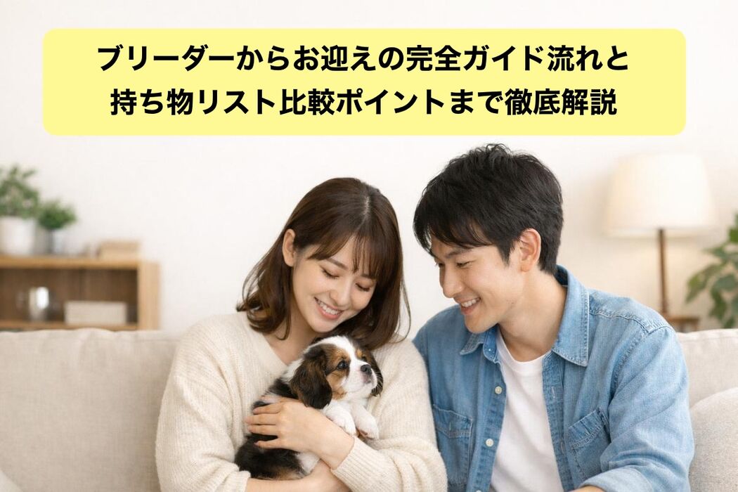 画像5155