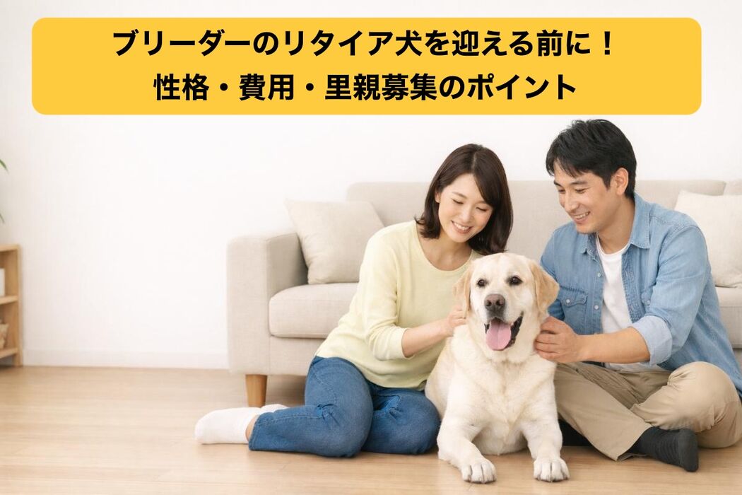 画像5187