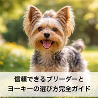 画像5707