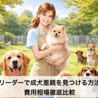 画像5735