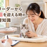 画像6268