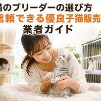 画像6282