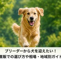 画像6483