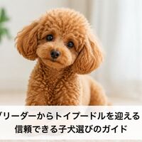 画像6495