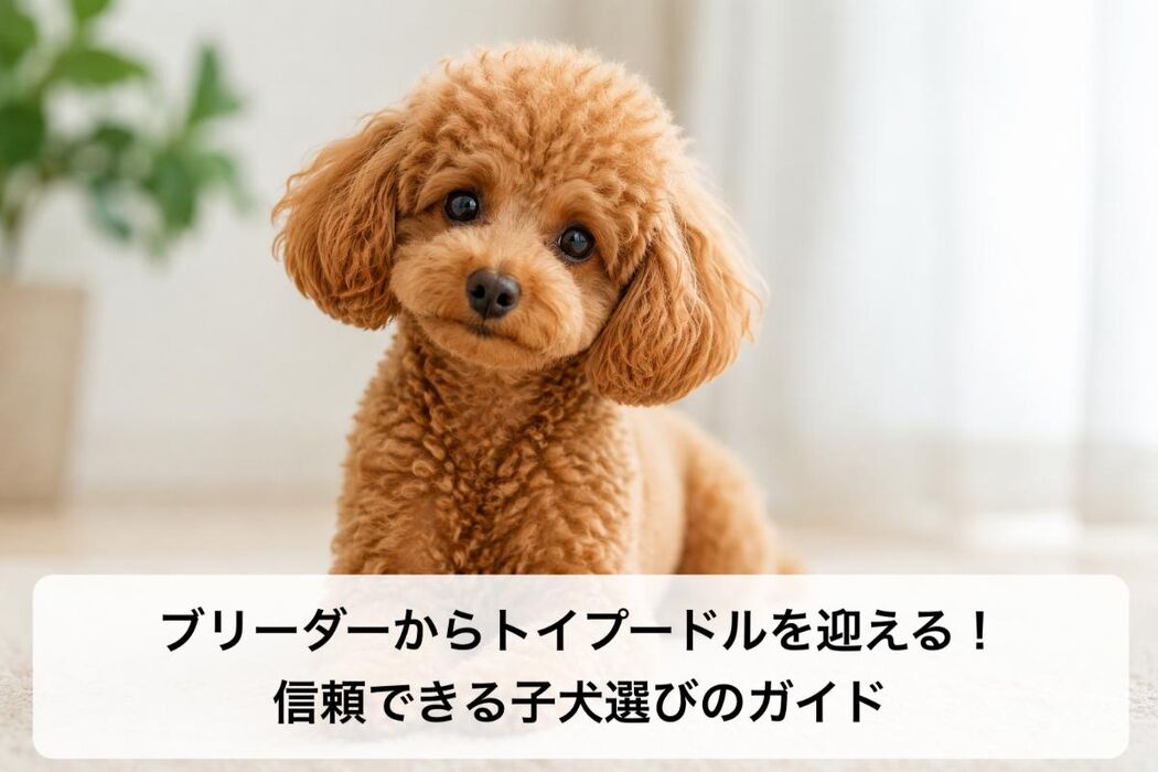 画像6495