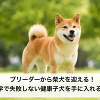 画像6507