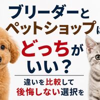 画像6571