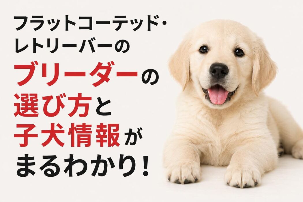 画像6583