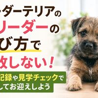画像6595