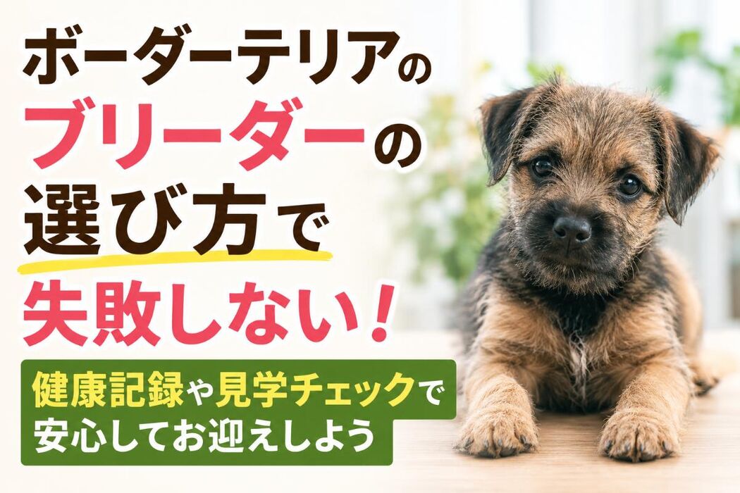 画像6595
