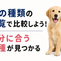 画像6609