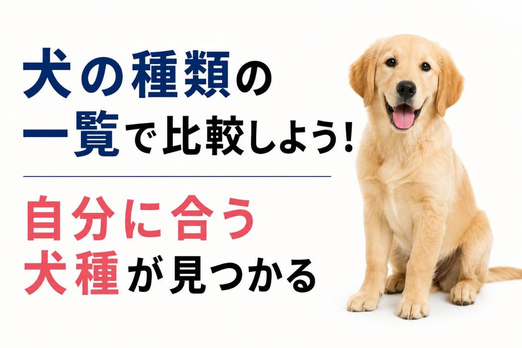 画像6609