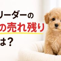画像6625