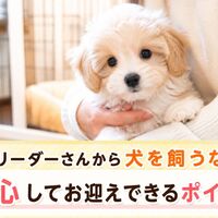 画像6697