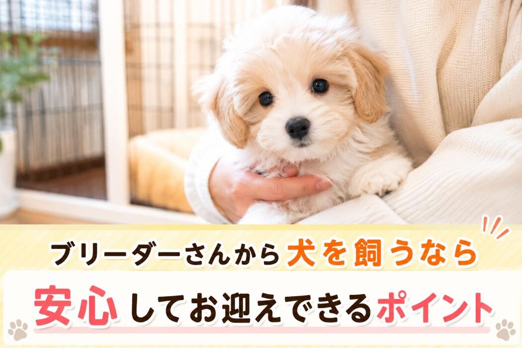 画像6697