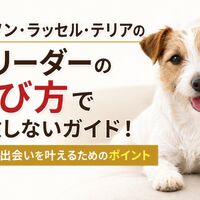 画像6834