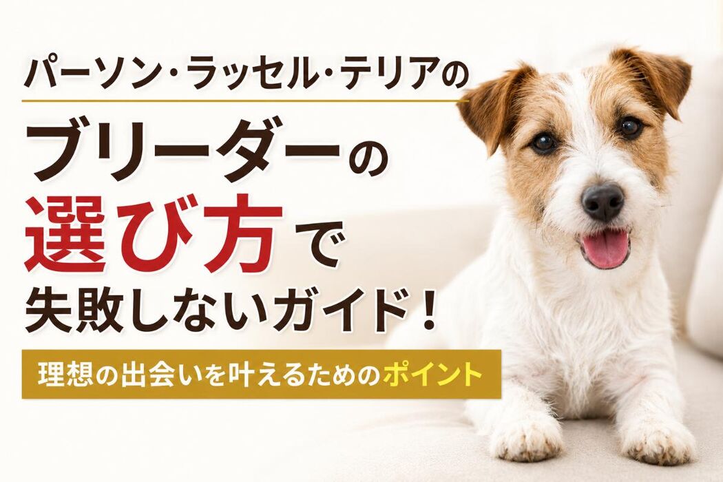 画像6834