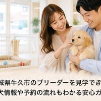 画像6846