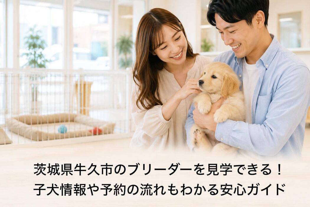 画像6846