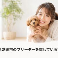 画像6868