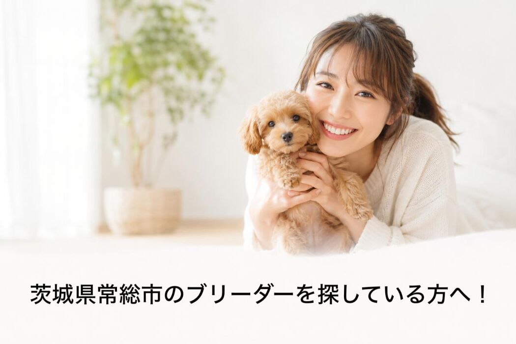 画像6868