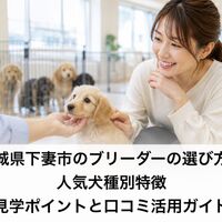画像6908