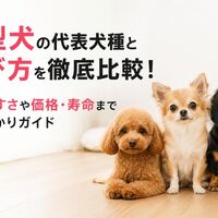 画像6971