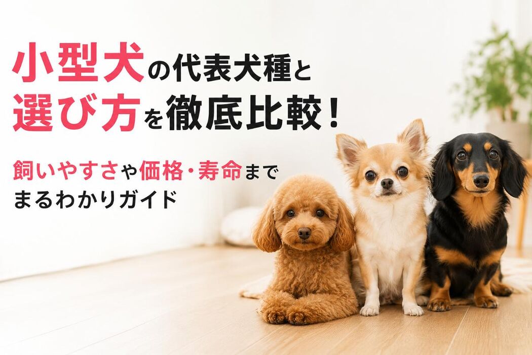 画像6971