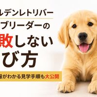 画像6983