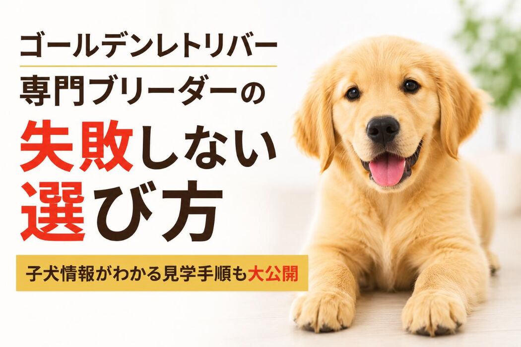 画像6983
