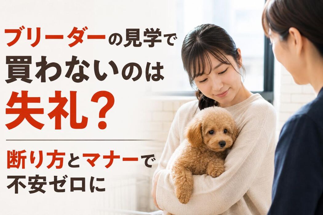 画像6995