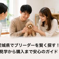 画像7006