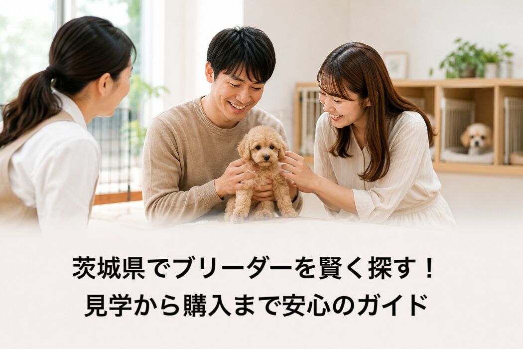 画像7006