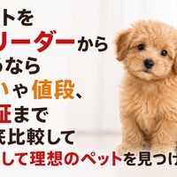 画像7013