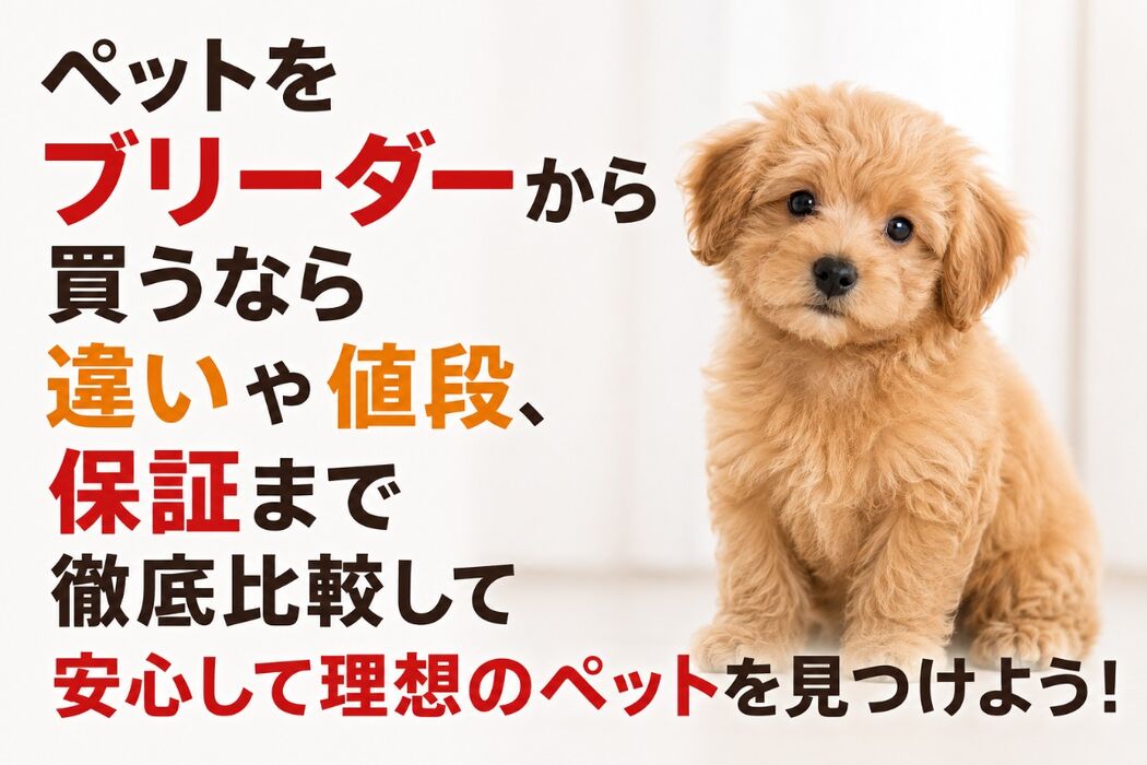 画像7013