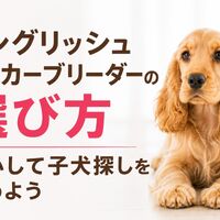 画像7023