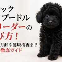 画像7035