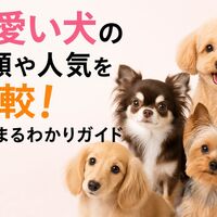 画像7047