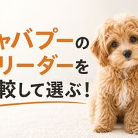 画像7059