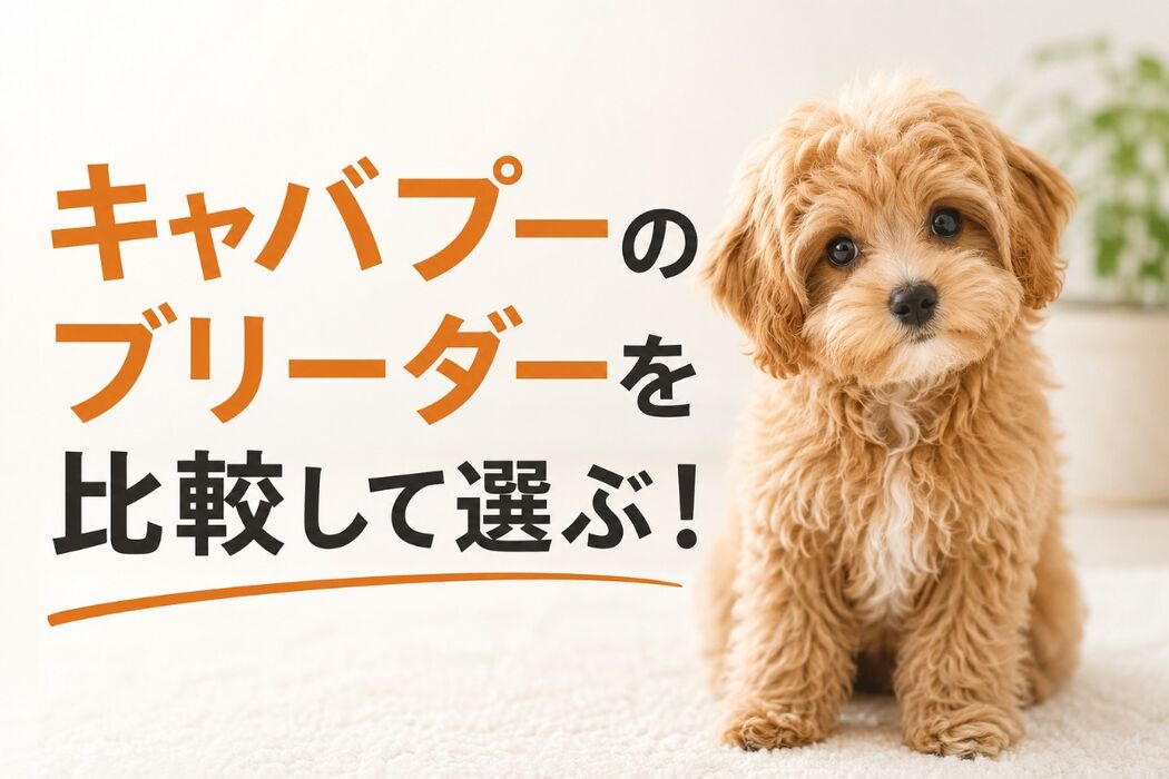 画像7059