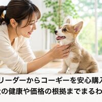 画像7073