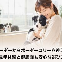 画像7085