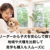 画像7099